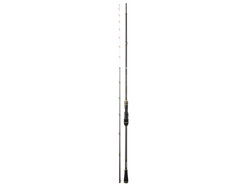 canne-daiwa-team-daiwa-tenya.jpg
