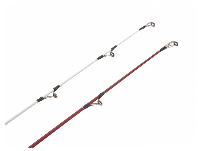 canne-daiwa-tournament-caster-evo-9.jpg