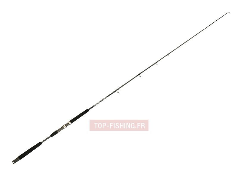 canne-downrigger.jpg