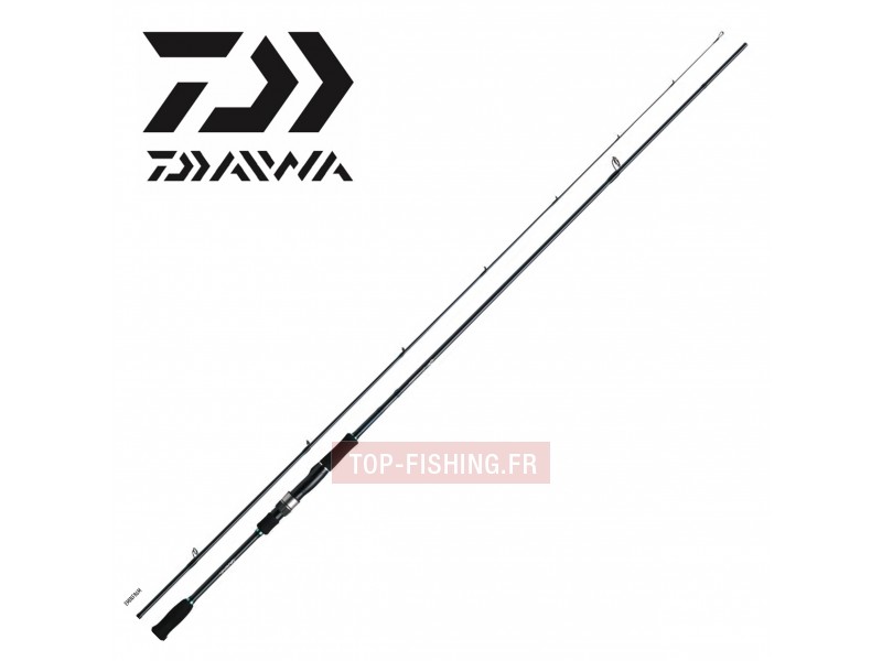 canne-egi-daiwa-emeraldas-infeet.jpg
