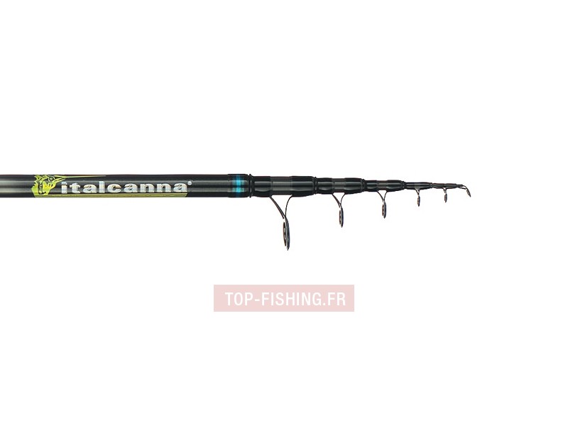 canne-evoluzione-italcanna-scion.jpg