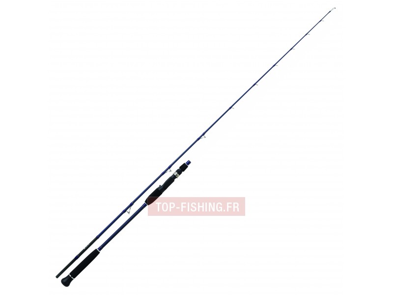 canne-jigging-daiwa-exceller-oceano-2.jpg
