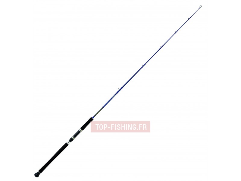 canne-jigging-daiwa-exceller-oceano-3.jpg