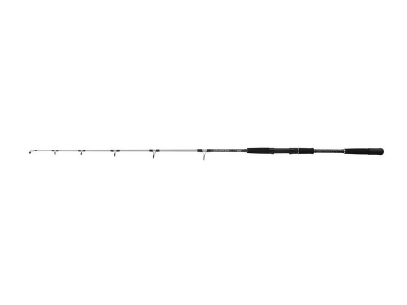 Canne Mitchell Tanager Sw Jig-1
