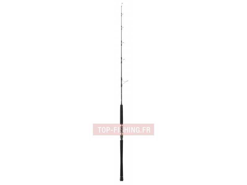 canne-monster-game-jig-1m62-100-220g.jpg