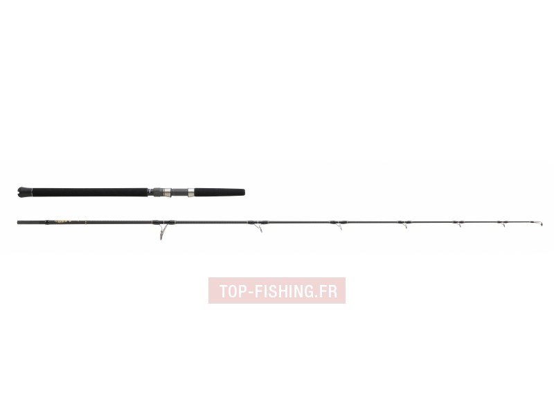 canne-monster-game-lancer-2m20-30-90g.jpg