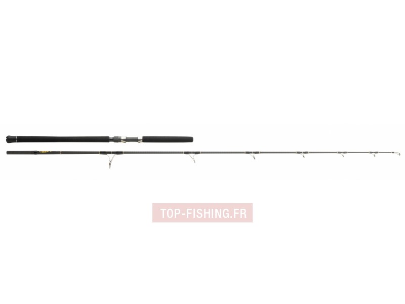 canne-monster-game-lancer-2m40-30-120g.jpg