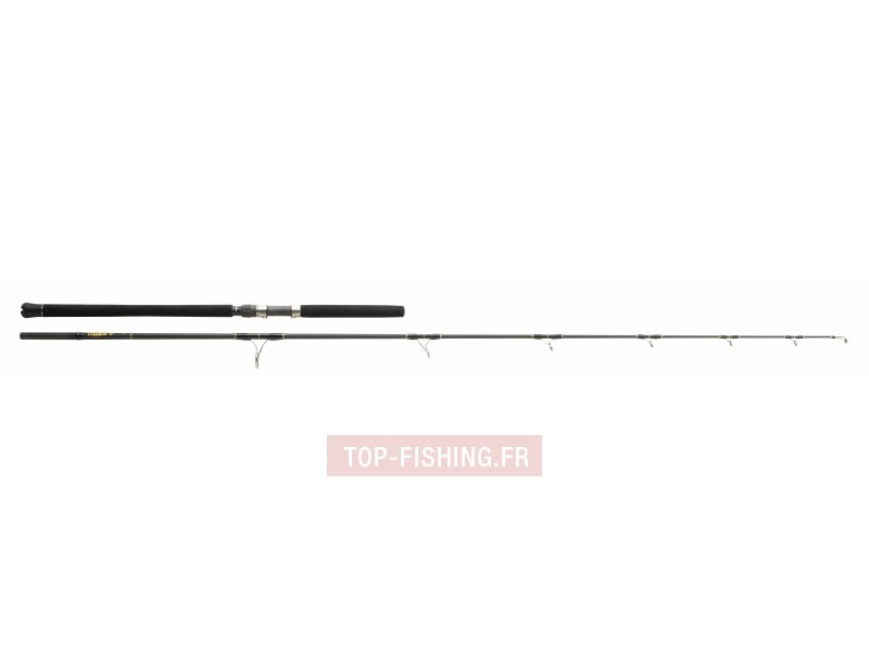 canne-monster-game-lancer-2m45-50-160g.jpg