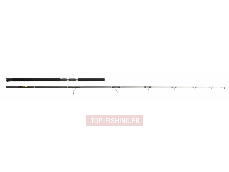 canne-monster-game-lancer-2m50-100-200g.jpg