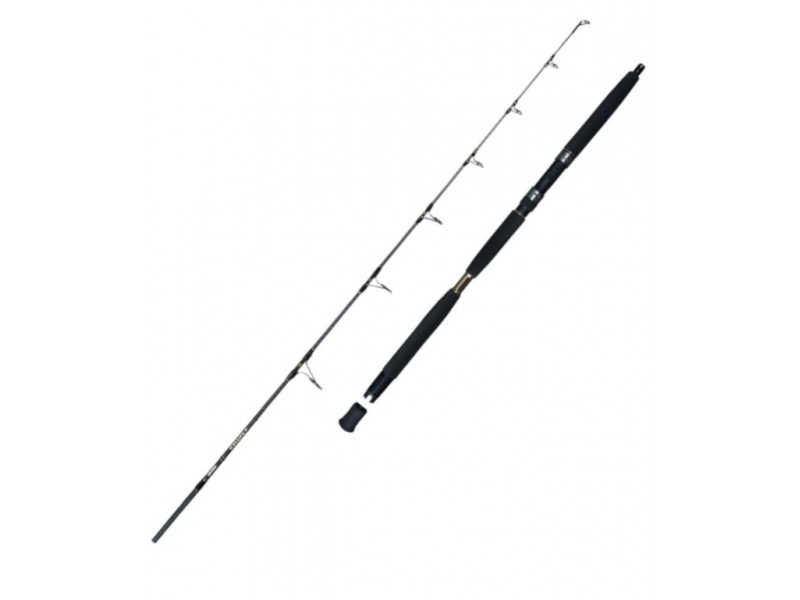 canne-okuma-eclipz.jpg