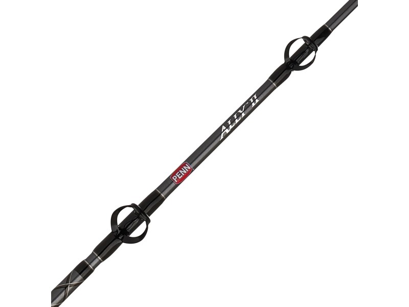 Canne Penn Ally Boat Conventional