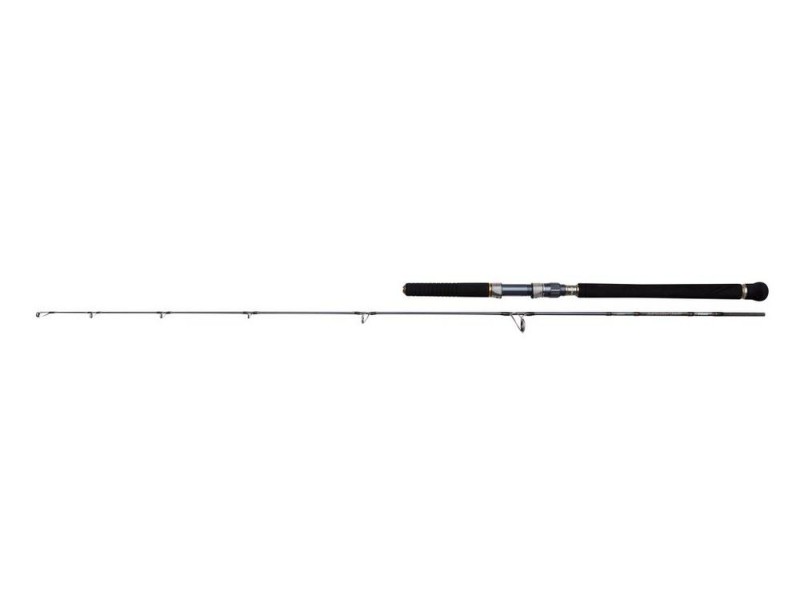 canne-penn-battalion-solid-jigging-spinning-rod.jpg