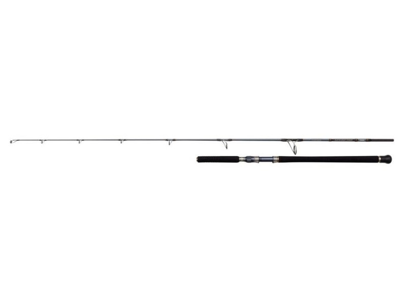 canne-penn-battalion-solid-offshore-casting-rod.jpg