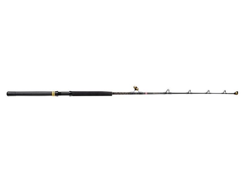 canne-penn-squall-ii-trolling-rod-3-1558909.jpg