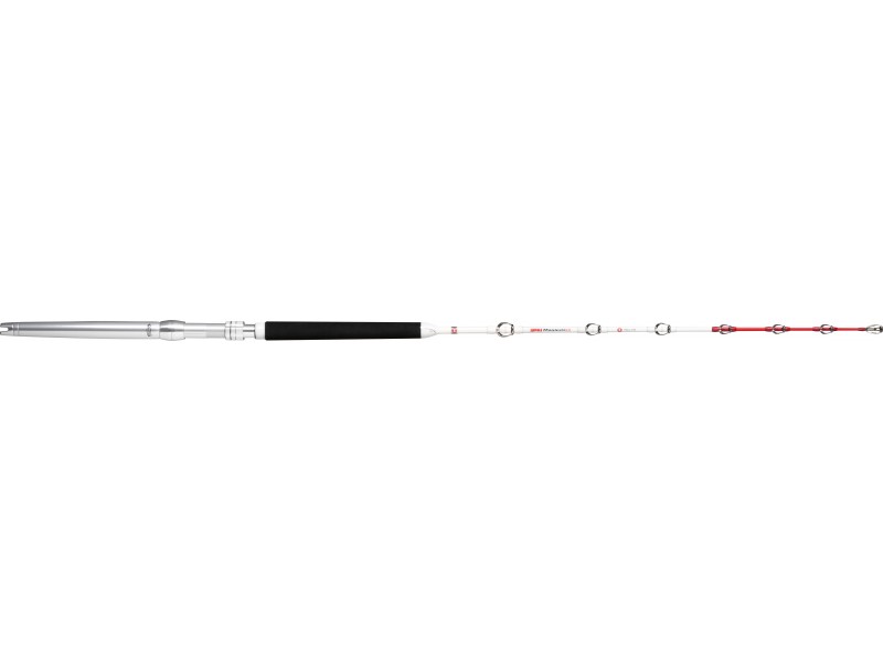 canne-rapala-magnum-rh-stand-up.jpg