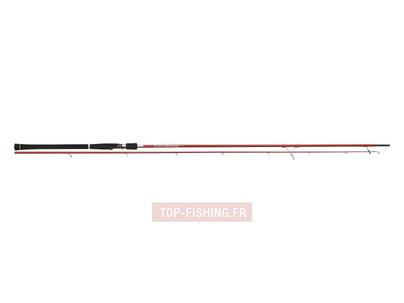 canne-red-arrow.jpg
