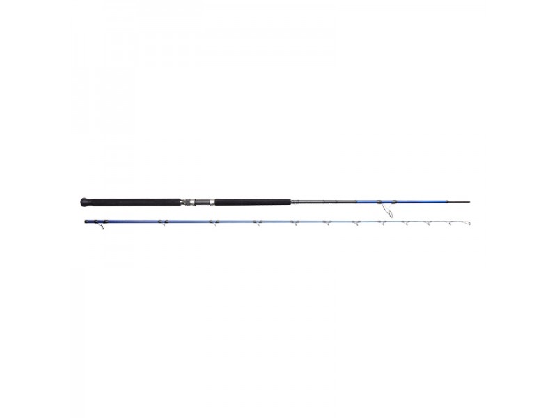 canne-savage-gear-sgs6-shore-jigging.jpg