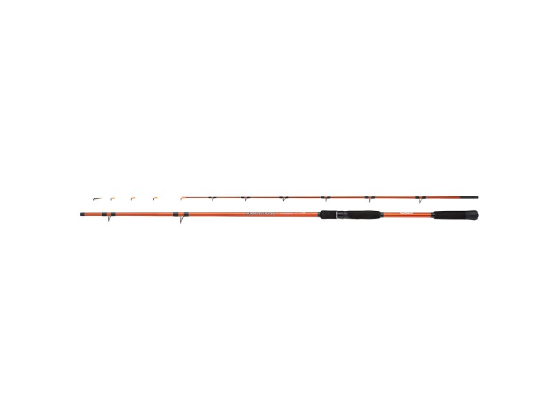 canne-shimano-beastmaster-tataki.jpg