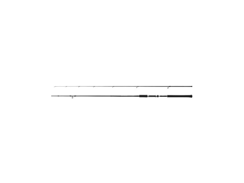 canne-shimano-salty-advance-eging.jpg