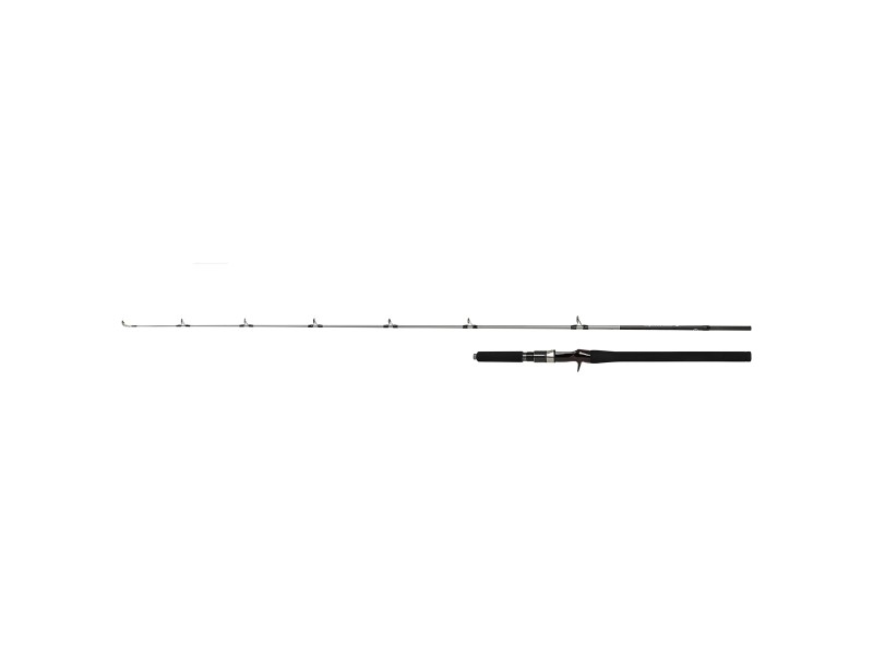 canne-shimano-speedmaster-r-jigging-cast.jpg