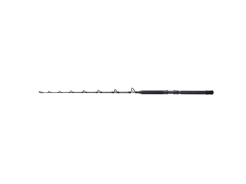 canne-shimano-tld-b-stand-up.jpg