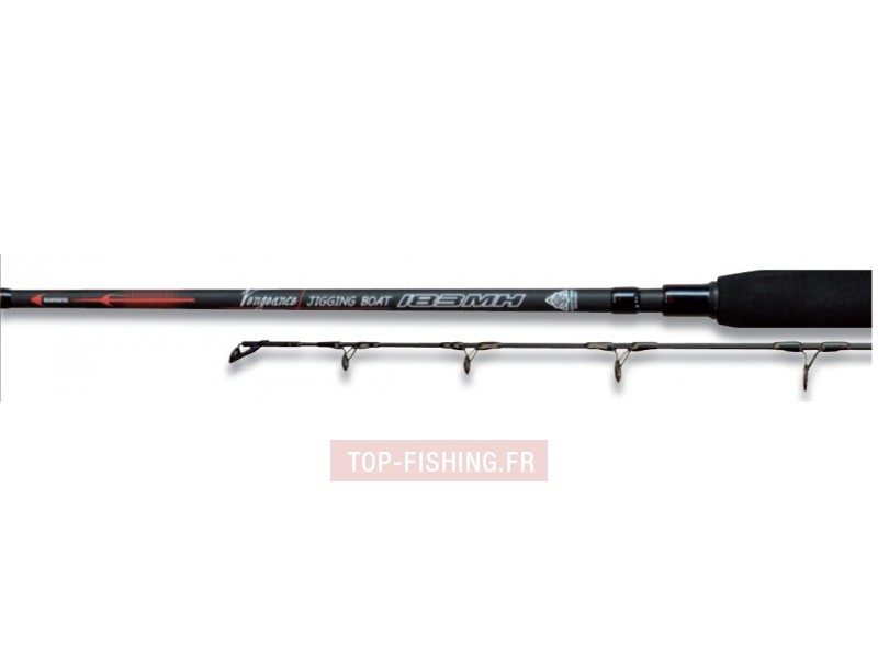 canne-shimano-vengeance-jig.jpg