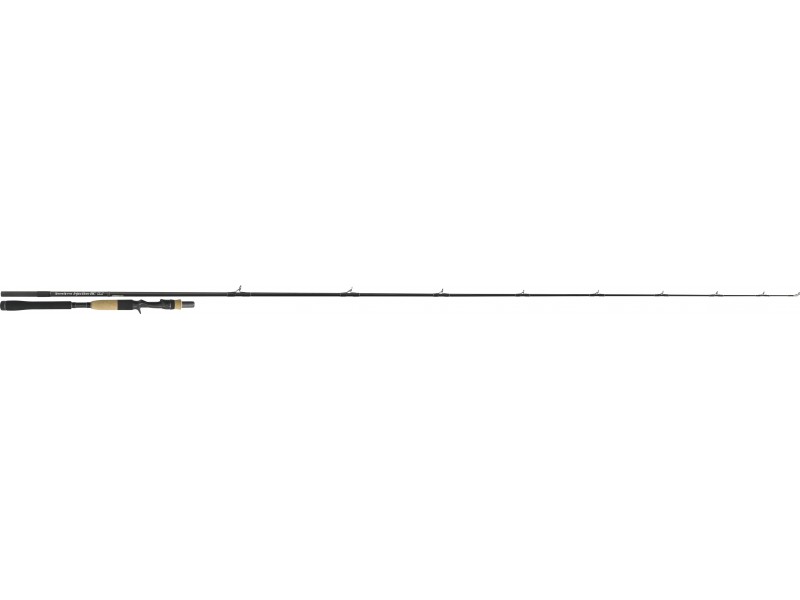 canne-tenryu-injection-bc-73-h-pike-special.jpg