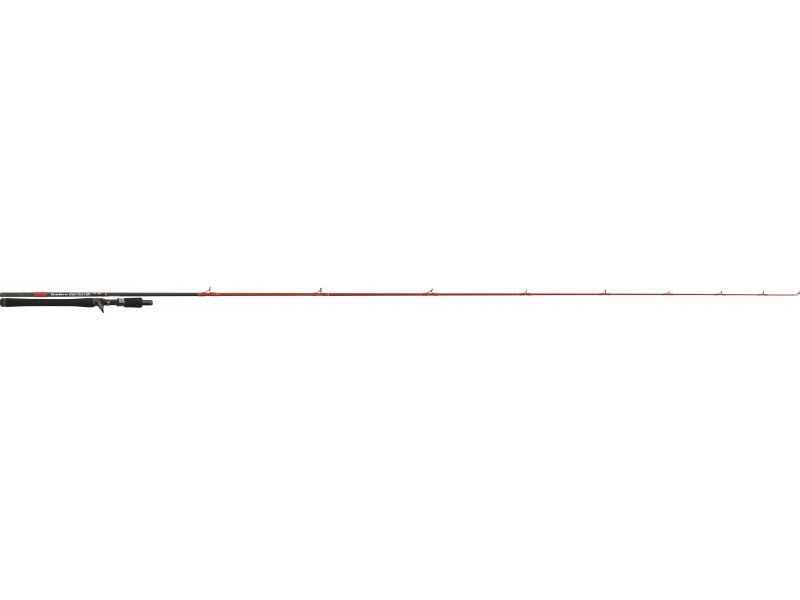 canne-tenryu-injection-bc-76-mh.jpg