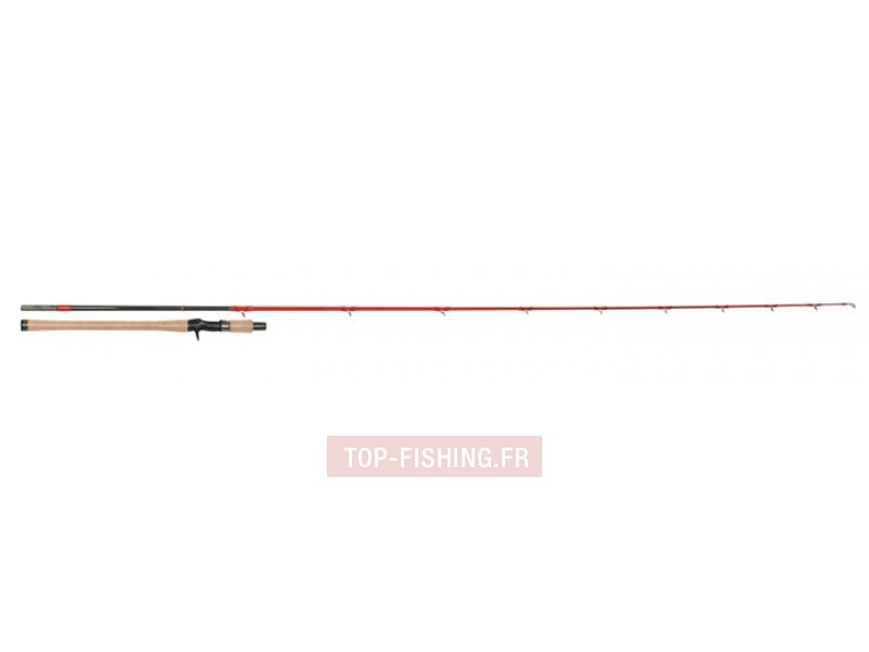 canne-tenryu-injection-bc-80xxh.jpg