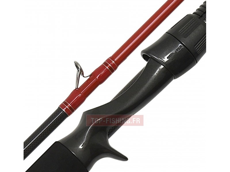 canne-tenryu-injection-bc-81-h-4.jpg