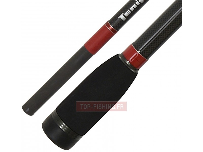 canne-tenryu-injection-bc-81-h-6.jpg