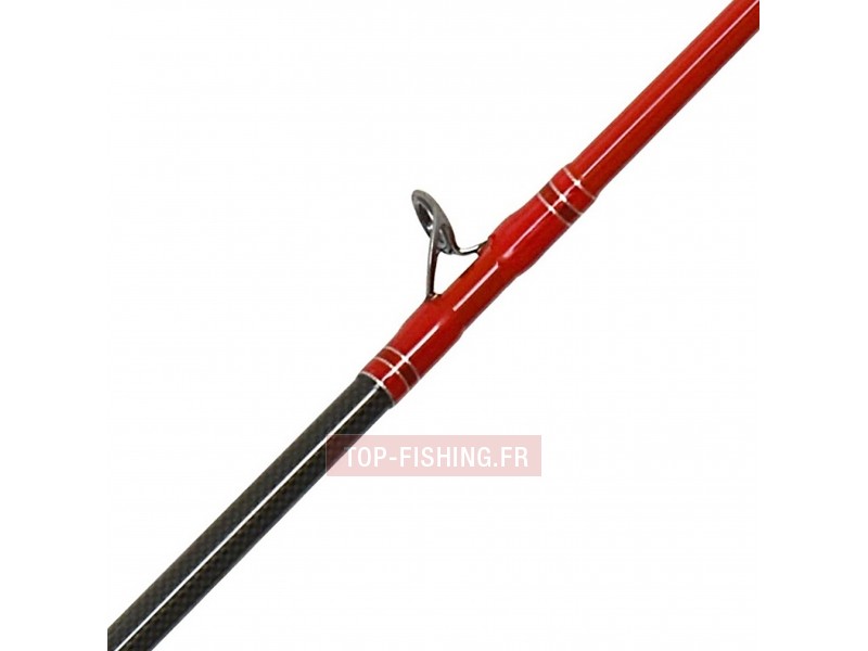 canne-tenryu-injection-bcv-6.0-h-6.jpg