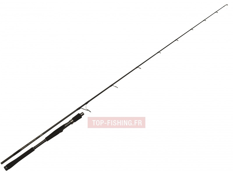 canne-tenryu-injection-sp-73-xh-just-come-black.jpg