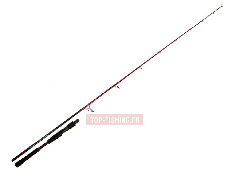 canne-tenryu-injection-sp-73-xh.jpg
