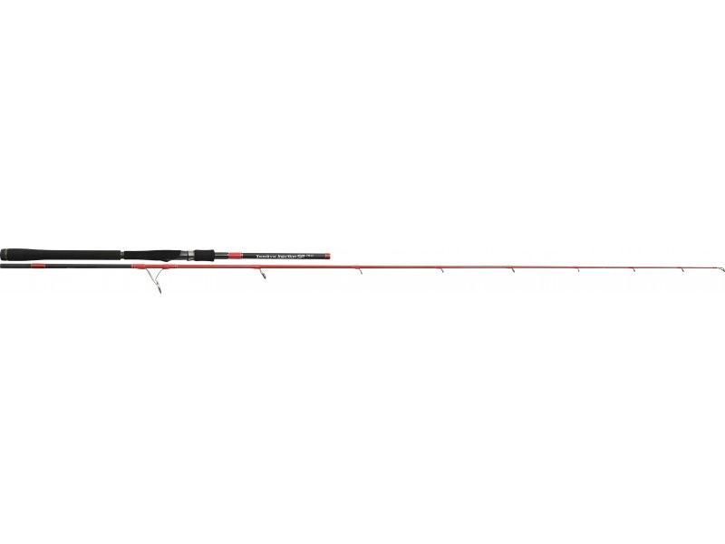 canne-tenryu-injection-sp-79-h.jpg