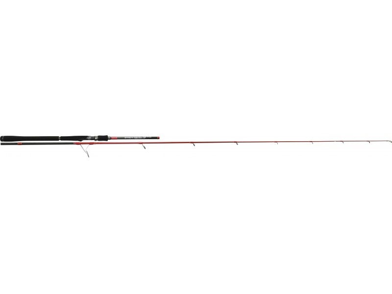 canne-tenryu-injection-sp-79-mh.jpg