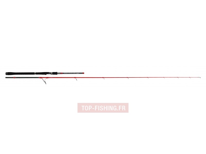 canne-tenryu-injection-sp-82-mh-long-cast.jpg