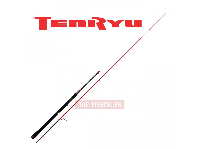 canne-tenryu-injection-sp-86-xh.jpg