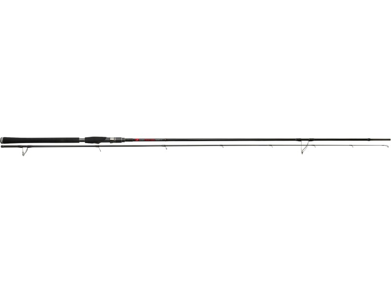 Canne Tenryu Namija 100 MH