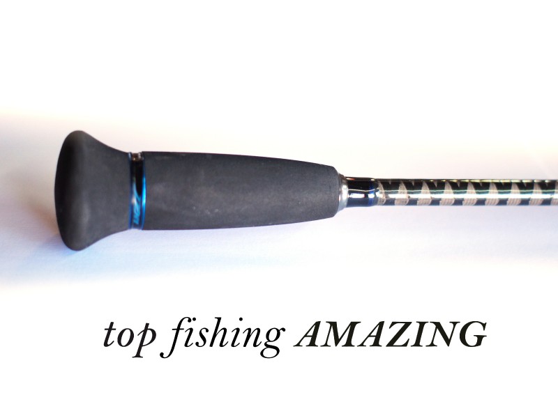 canne-top-fishing-amazing-c631-talon.jpg