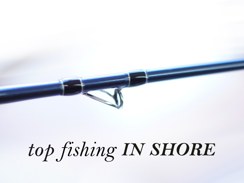 canne-top-fishing-in-shore-c198-blank.jpg