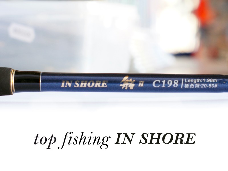 canne-top-fishing-in-shore-c198-ecrito.jpg