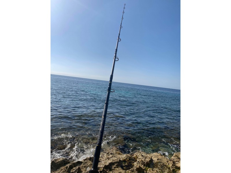 canne-top-fishing-sound-decoy-2.jpg