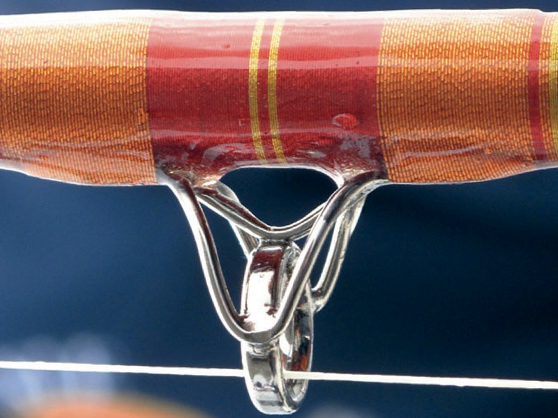 canne-wft-68-north-anneau-ltc-detail.jpg