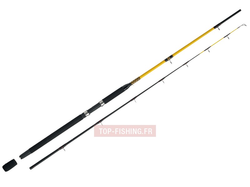 canne-wft-never-crack-downrigger-2m50.jpg