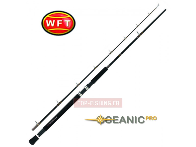 canne-wft-oceanic-downrigger.jpg