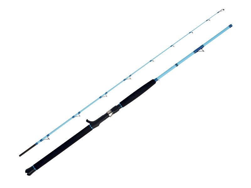 canne-wft-sea-dart-12lbs-bleu-ciel.jpg