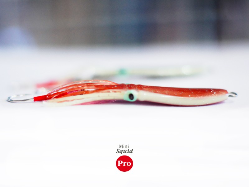 casting-jig-top-sea-mini-squid-pro-ambiance.jpg