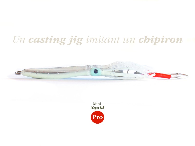 casting-jig-top-sea-mini-squid-pro-profil.jpg