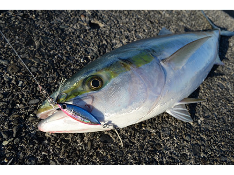 casting-jig-zeake-s-bit-40g-5.jpg
